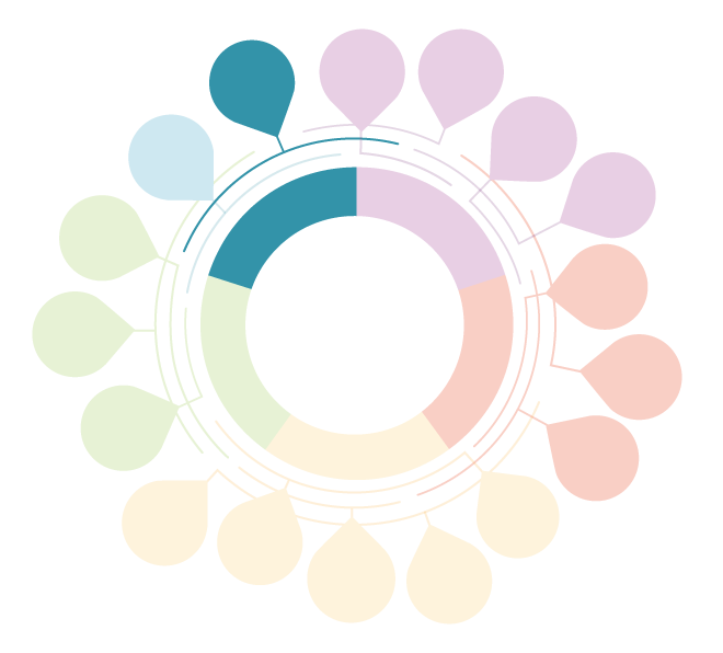 Framework graphic with the entry point 'Consider Diverse Household Financial Circumstances' highlighted