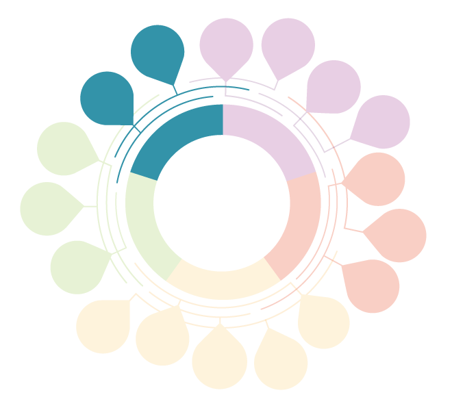 Framework image with Life Circumstances entry points highlighted