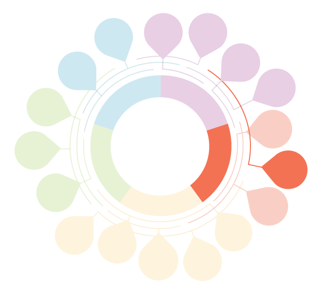 Framework graphic with the entry point 'Budget for Wellbeing' highlighted