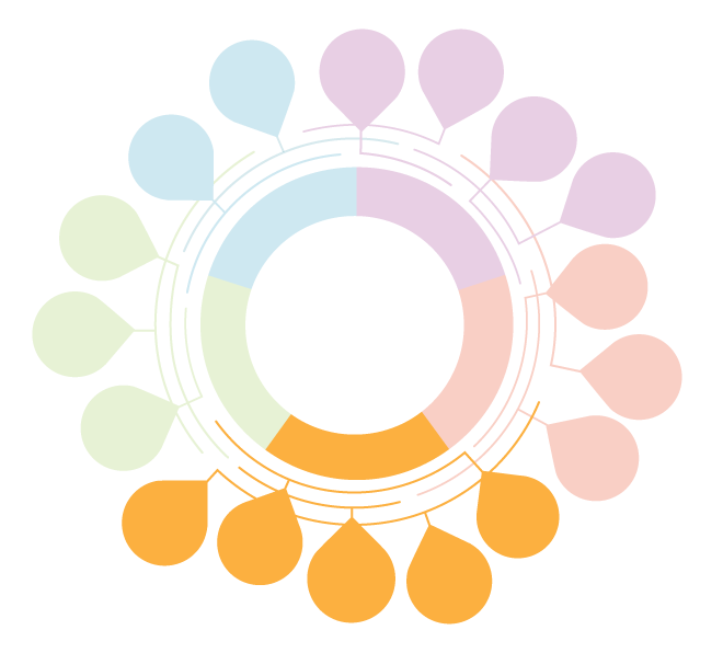 Framework image with Socioeconomic & Political Context entry points highlighted
